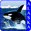 Alaska Cruises in July 2015