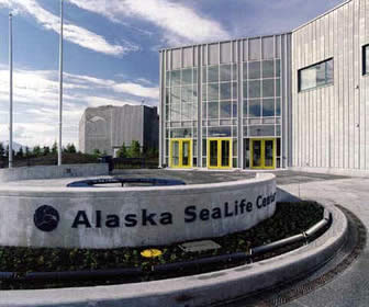 Alaska Sealife Center in Seward Alaska